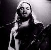 David Gilmour (1978)